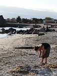 Bahia Inglesa