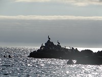 Bahia Inglesa