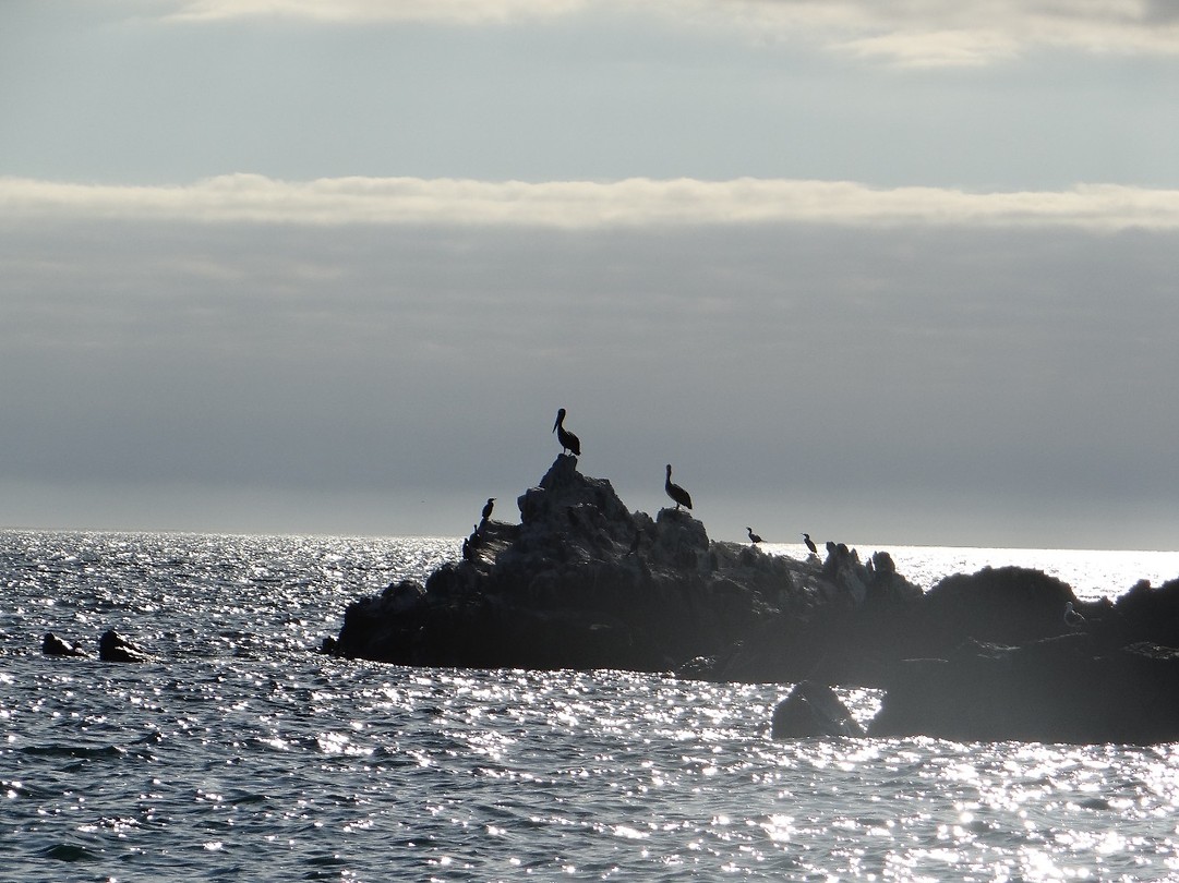 Bahia Inglesa