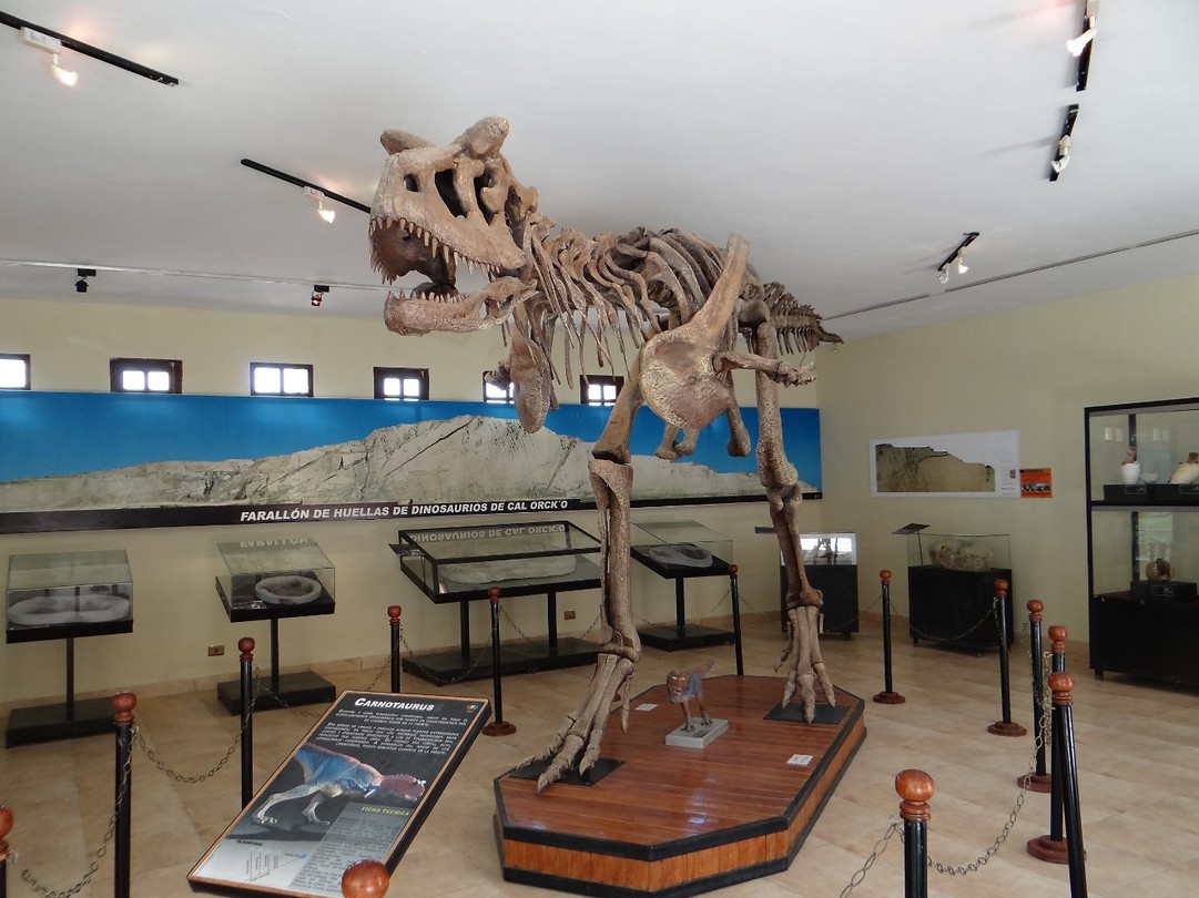 Dino Park