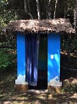 Coroico