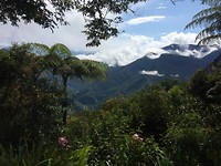 Coroico