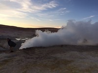 Joe geyser's fart