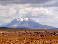 Salvador Dali Desert