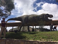Dino Park