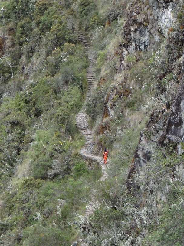 the trail day 2