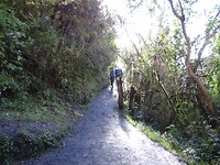 DSC02785