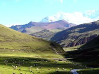 DSC02634