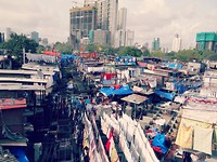 DSC03764