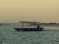 DSC03654