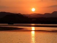 DSC03533