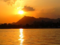 DSC03502