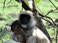 DSC03270