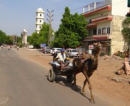 DSC03404