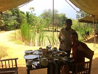 Yala national park