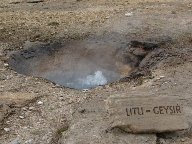 DSC00611