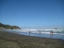 Muriwai Beach