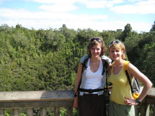 Rangitoto 3