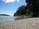 Rangitoto Beach
