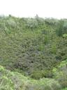 Rangitoto Crater