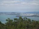 View from Rangitoto