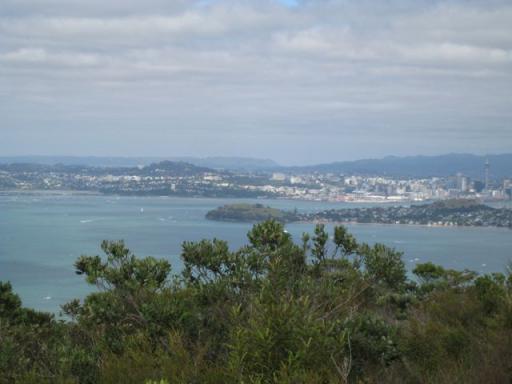 View from Rangitoto
