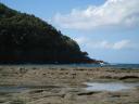 Goat Island, Marine Reserve