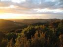Waiheke Island 3