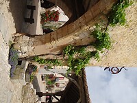 DSC00220