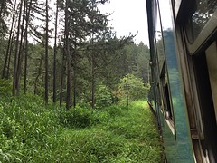 Met de trein van Kandy naar Ella