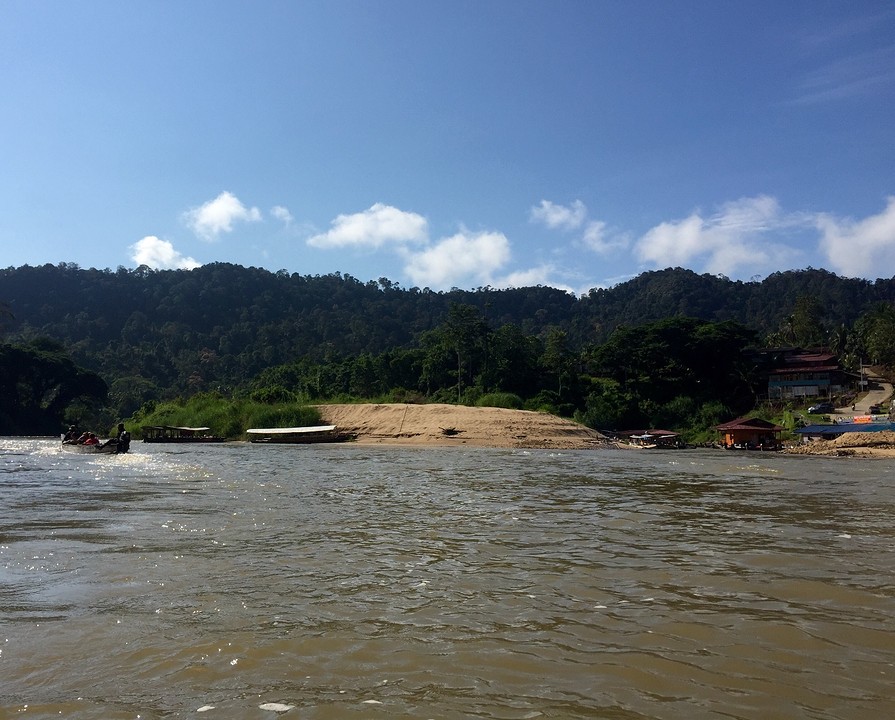 Taman Negara
