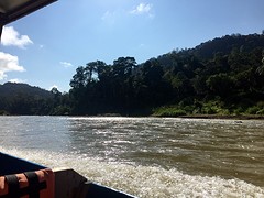 Taman Negara