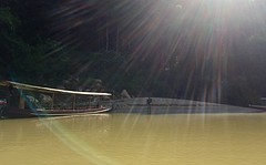 Taman Negara