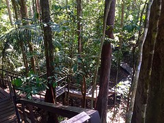 Taman Negara