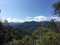 Taman Negara