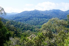 Taman Negara