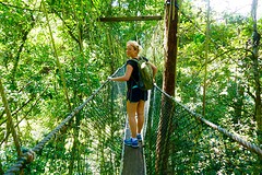 Taman Negara