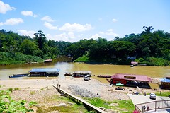Taman Negara