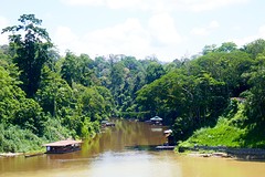 Taman Negara