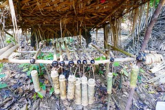 Batek Tribe, Taman Negara