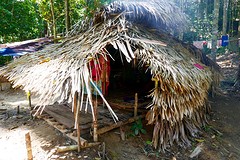 Batek Tribe, Taman Negara