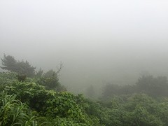 Na een klim op een van de wereldwonders dit uitzicht hebben... Wolken