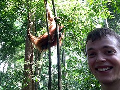 Jungle trekking, Gunung Leuser National Park