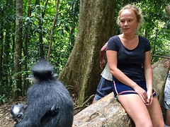 Jungle trekking, Gunung Leuser National Park