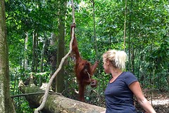 Jungle trekking, Gunung Leuser National Park