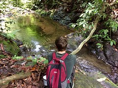 Jungle trekking, Gunung Leuser National Park