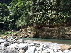 Jungle trekking, Gunung Leuser National Park