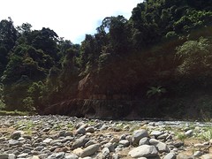 Jungle trekking, Gunung Leuser National Park