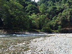 Jungle trekking, Gunung Leuser National Park