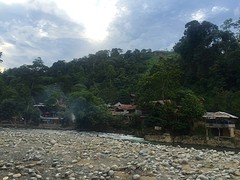 Bukit Lawang